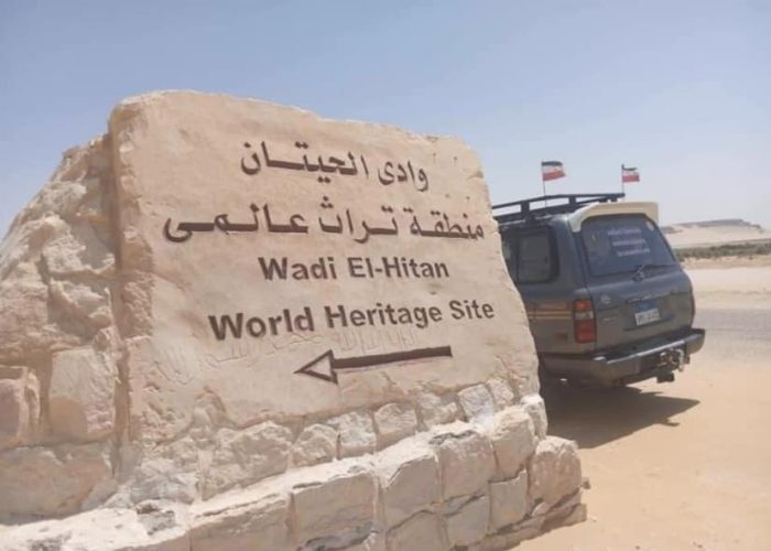 Safari del Deserto Egitto